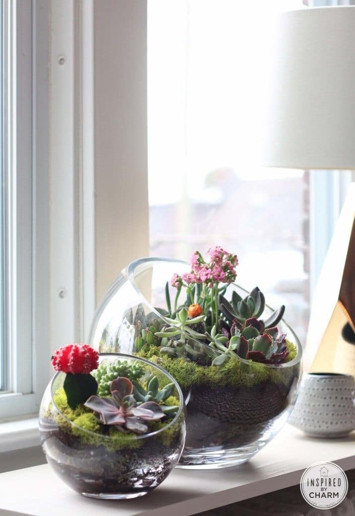 Five Amazing DIY Succulent Planters