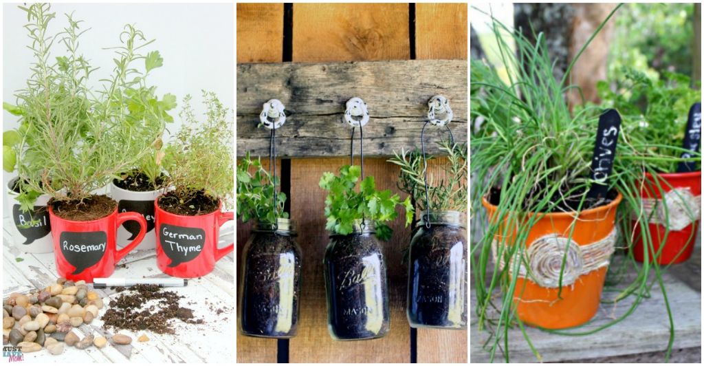 Planting Herbs: Designs for Your Spring Garden